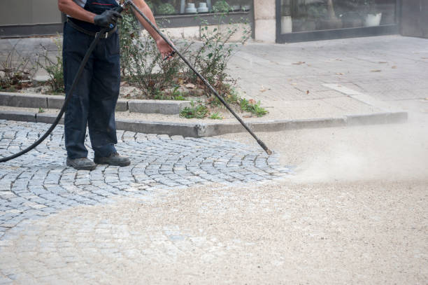 Best Animal Enclosure Cleaning  in Schuylerville, NY